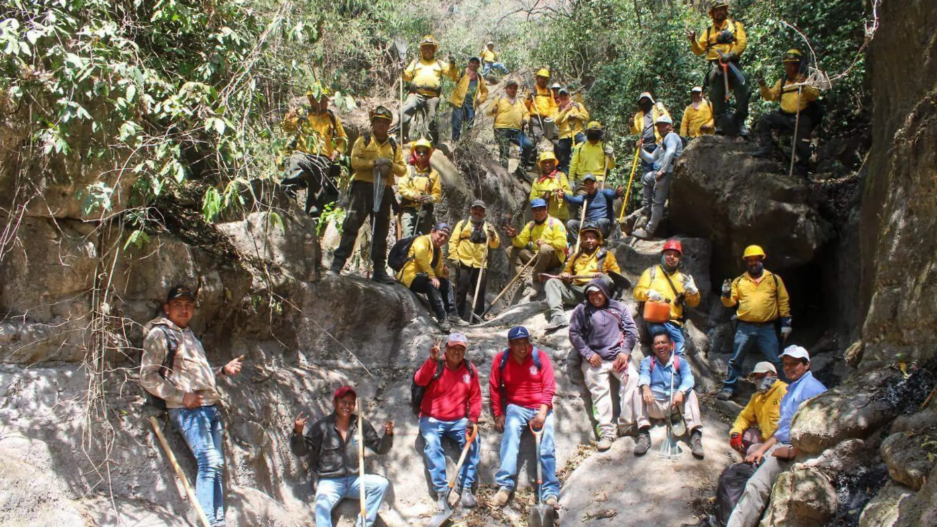 brigadistas-secretaría-desarrollo-sustentable